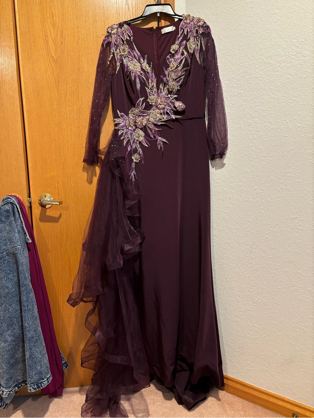 Elegant Plum Purple Evening Gown with Embroidered Appliqué